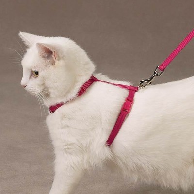 Savvy Tabby Nylon Cat Harness, 3/8-Inch, Raspberry ...