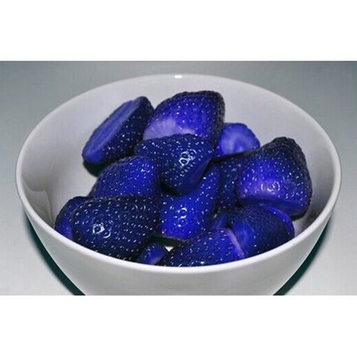 100PCS Organic Blue Strawberry Antioxidant Seeds Vegetables ...