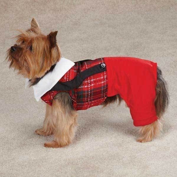 Things to Consider When Sizing a Dog Jumper | eBay