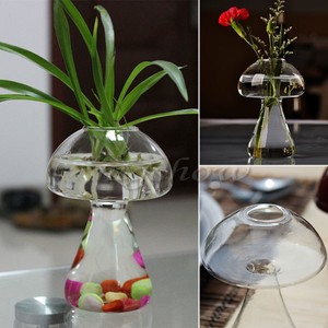 hydroponics machine definition