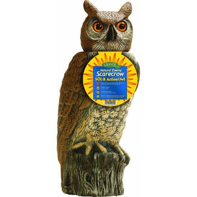 Dalen GARDEN DEFENSE SOL-R ACTION OWL Decoy ...