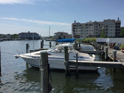 Wellcraft 23 Ft