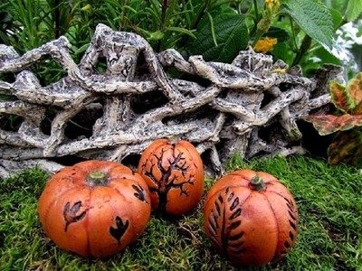 Miniature Pumpkin set of 3  Fairy ...