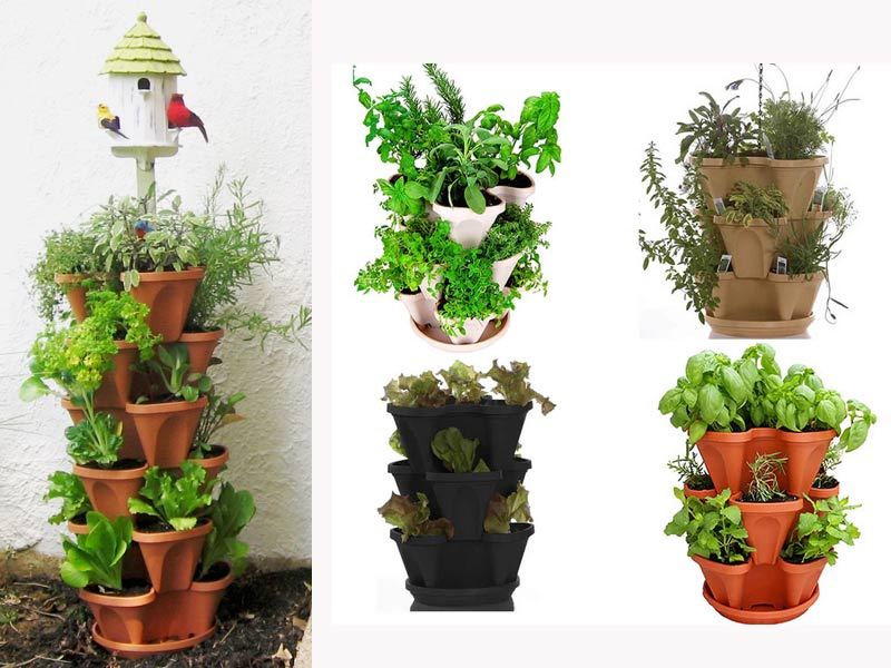 Top Self-Watering Garden Solutions | eBay