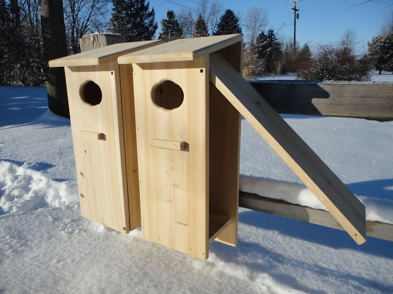 How to Make a Wood Duck Nesting Box eBay