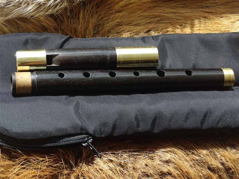 How to Play the Irish Whistle eBay