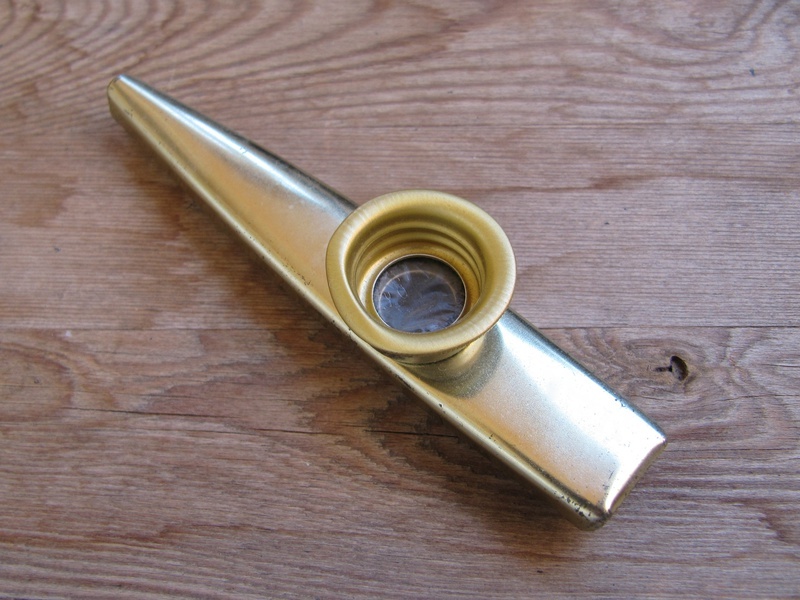 How To Properly Play A Kazoo  How To Play Kazoo  Easy Tips  The