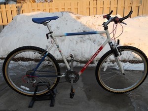 Bmw olympic games mtb bike #2