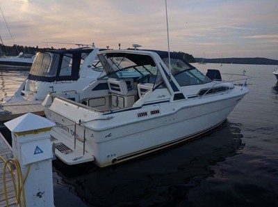 1987 Sea Ray Weekender 300