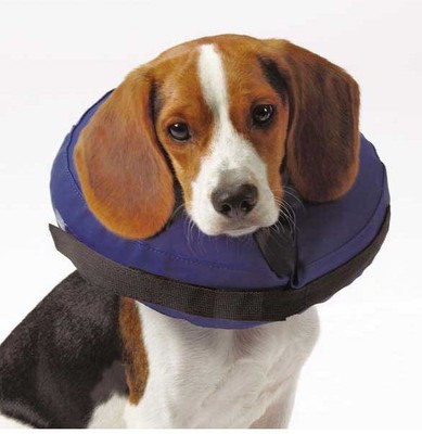 Inflatable Pet Collar Dog E-Collar Elizabethan Wound ...