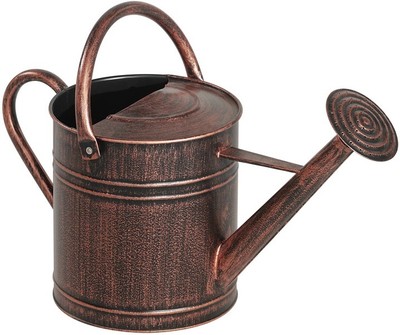 Living Accents WAC6065 Watering Can, 2 Gallon, ...