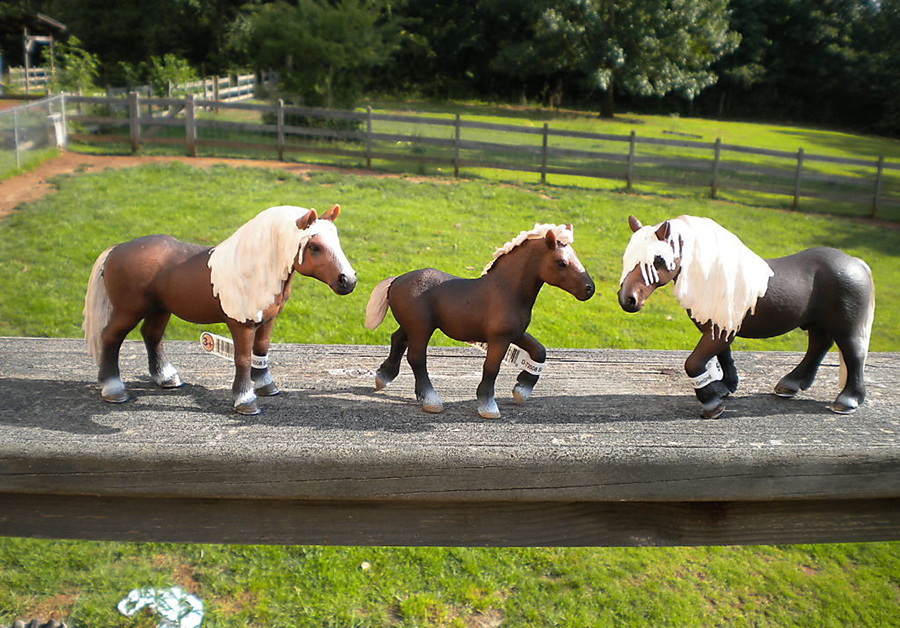 Die Geschichte der Schleich-Tiere | eBay
