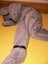 ADULT-BABY-8-ZIP-OVERALL-footed-pajamas-footed-sleeper-BABYPLUSH-sooo-soft