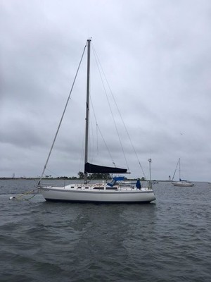 Sailboat 1989 Catalina 34ft Wing Keel Tall Rig