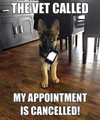 german Shepard refrigerator magnet 2 1/2