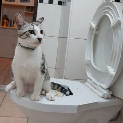 Good Cat Kit Kitty Pet Toilet Seat ...