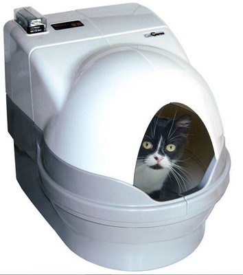 Cat Litter Box Kitty Pet Toilet Kitten ...