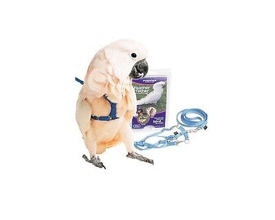 Premier Feather Tether Bird Harness and Leash