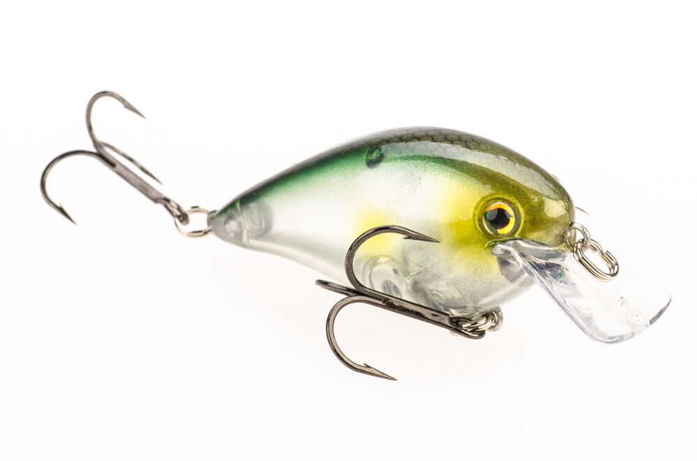 Color:684 Clearwater Minnow:Strike King KVD 1.5 Square Bill Silent Crankbait Lure - Select Color(s)