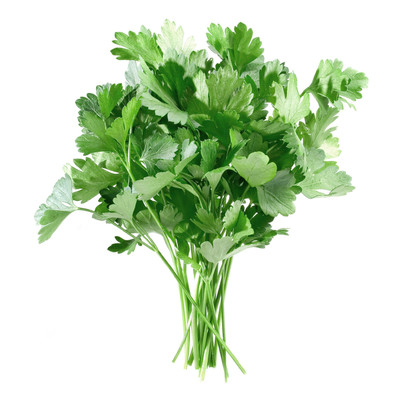 FRESH PARSLEY SEEDS HERB GARDEN 100 SEEDS ...