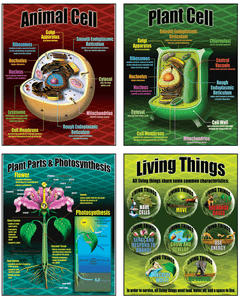 ... SCIENCE BULLETIN BOARD SET POSTER CLASSROOM TEACHER SUPPLIES MATERIALS