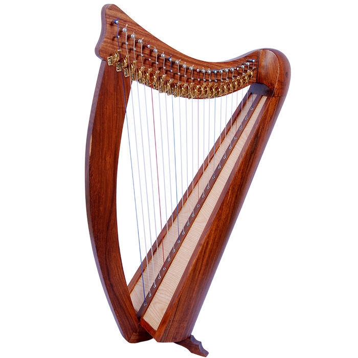 How to Choose a Harp for a Beginner | eBay