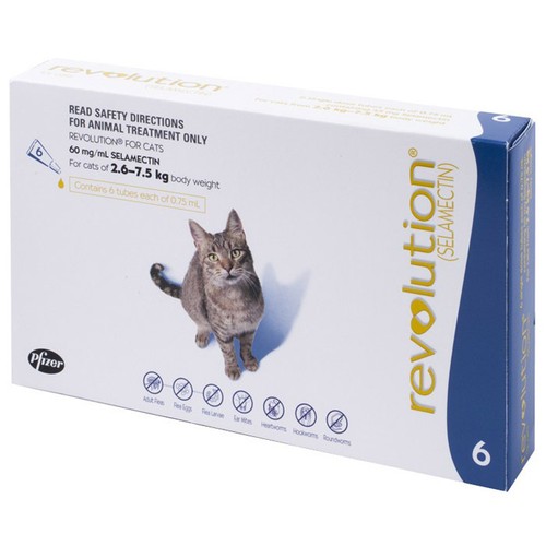 Revolution For Cats 2 6kg 7 5kg 6 Pack eBay