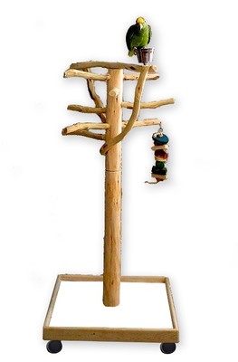 AFM2 Manzanita Activity Center Parrot Tree Bird ...