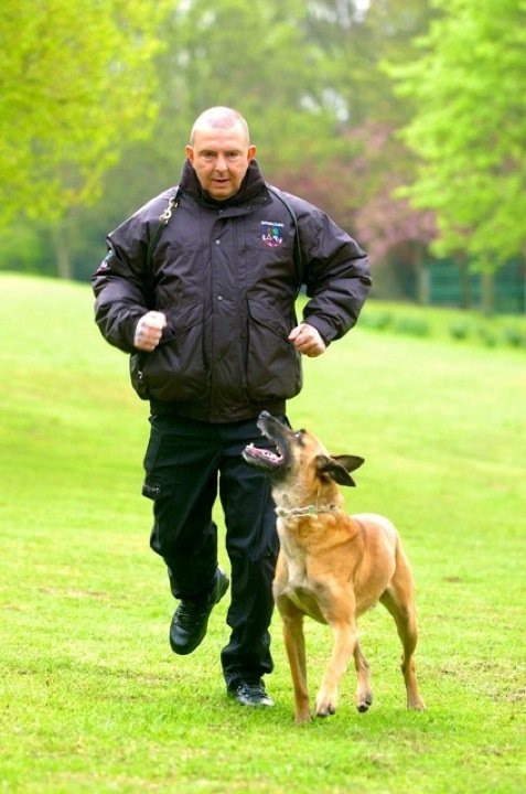 Security Dog Handler Training Courses &amp; Pet Dog Training | United ...
