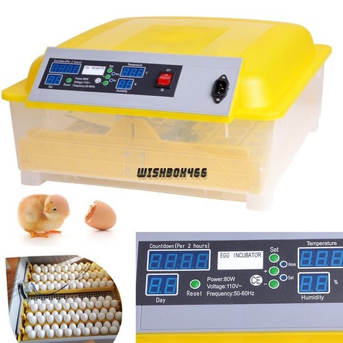 Digital Clear Egg Incubator Hatcher Temperature Control ...