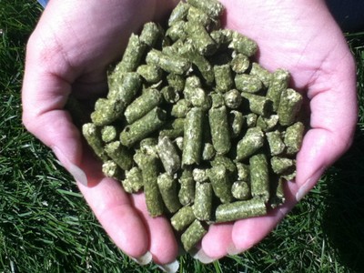 4 lbs Fresh Timothy Grass Hay Pellets ...