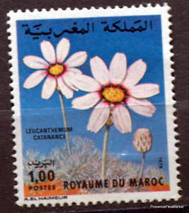 Rsultat de recherche dimages pour flore marocaine photos