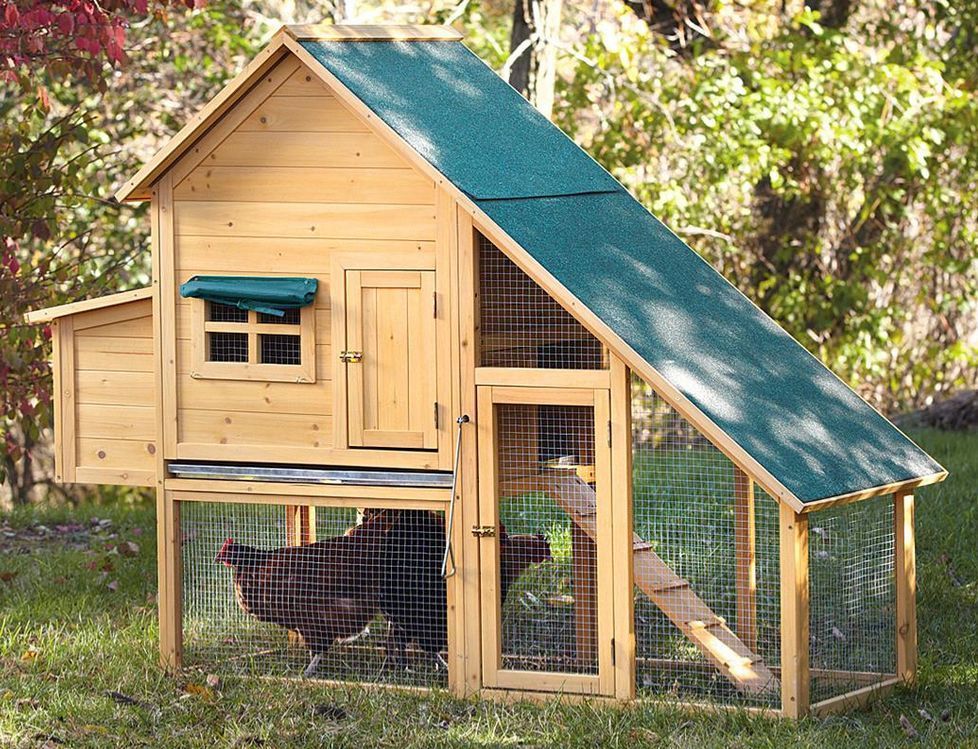How to Build a Chicken Cage eBay