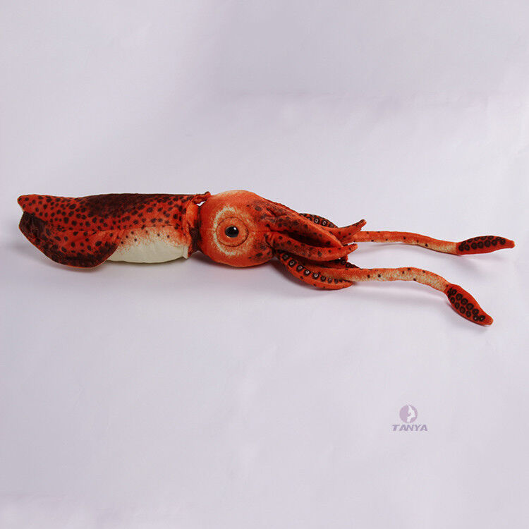Giant Squid 31.5