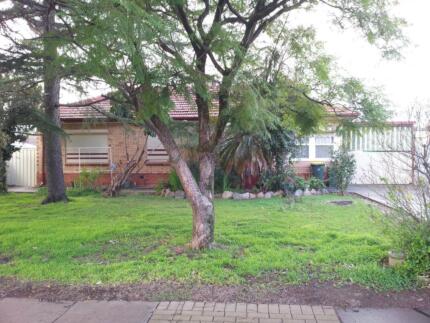 New House Vacancy. Available Now !! Elizabeth Vale Playford Area 