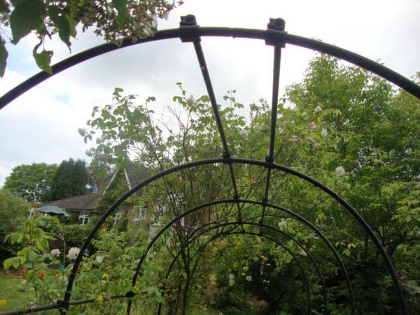 EXTENDED ORNAMENTAL WALK THROUGH METAL GARDEN ARCH ARBOUR FOR CLIMBING PLANTS ROSES Shere Picture 3