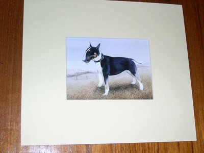 RARE ANTIQUE MINIATURE BULL TERRIER TERRIERS COLOUR ...