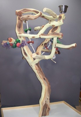 Manzanita Parrot Tree Bird Stand Toy Play ...