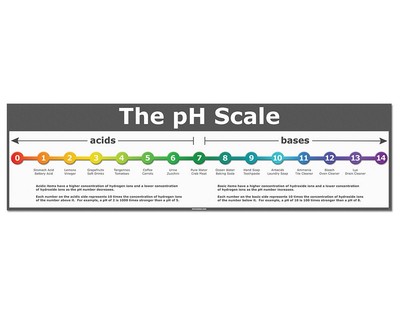 The pH Scale - Classroom Poster