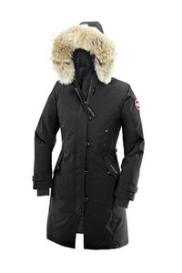 canada goose for sale kijiji canada goose for sale kijiji