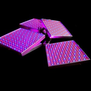 Costruire lampada led per piante