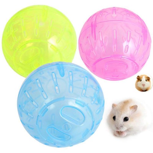 Pet Toy Mini Ball Hamster Gerbil Rat ...