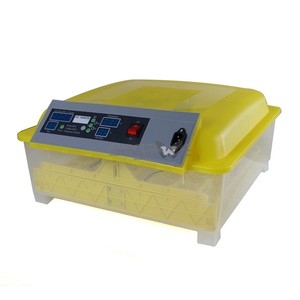 Digital Clear Egg Incubator Hatcher Turning Temperature Control 