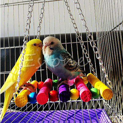 Pet Bird Parakeet Parrot Budgie Cockatiel Cage ...