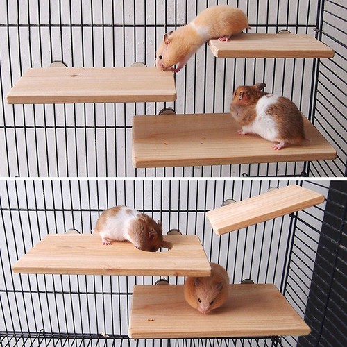 New Wooden Parrot Bird Cage Perches Stand ...