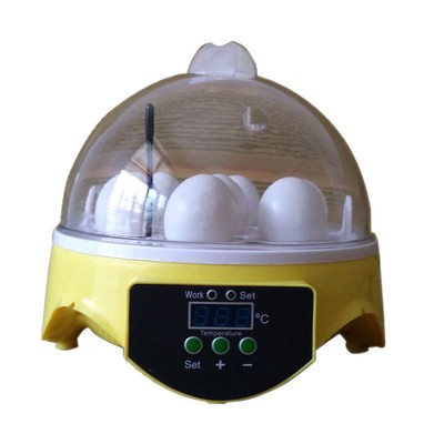 7eggs mini transparent chicken duck egg incubator egg hen chicken 
