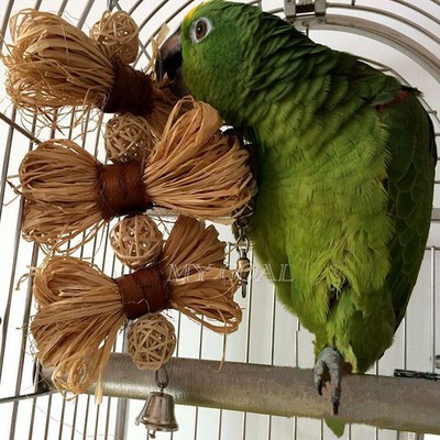 Pet Bird Bites Toy Parrot Chew Ball ...