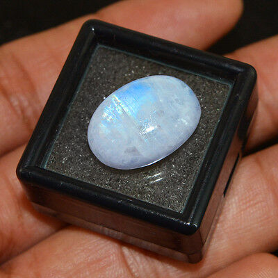 Best Quality 13.23 Cts Natural Untreated Oval Shape Blue Flash Moonstone
