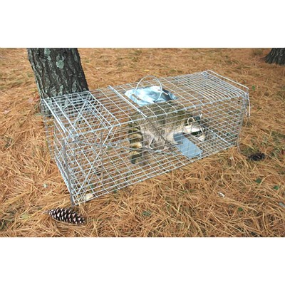 Pet Trex Zinc Live Animal Trap Racoon ...