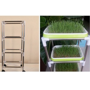 Wheatgrass Kijiji: Free Classifieds in Ontario. Find a job, buy a car, find a house or ...